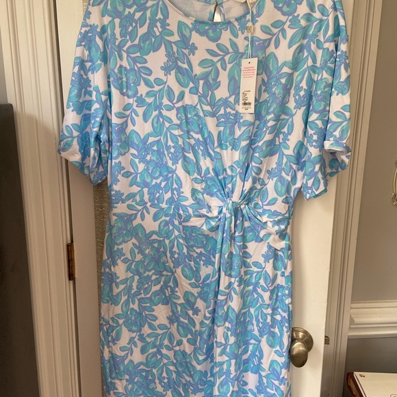 Lilly Pulitzer Dresses & Skirts - Lilly Pulitzer Blue and White Dress Size Large